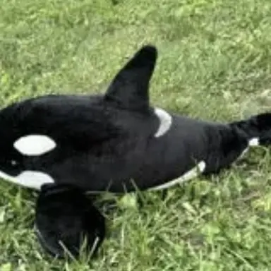 Profile image of Whale