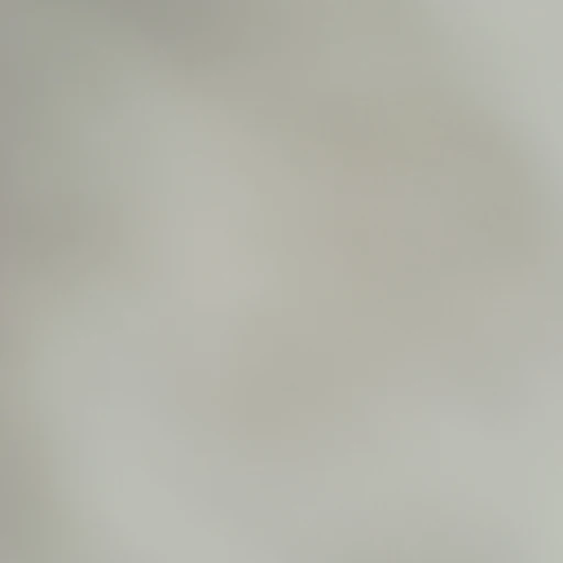 김동현