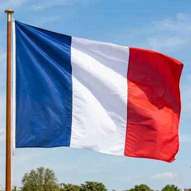 Profile image of 프랑스 제국