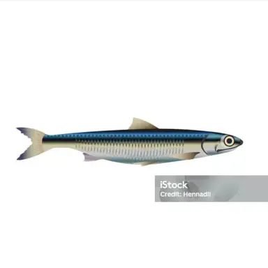 Profile image of 오현택