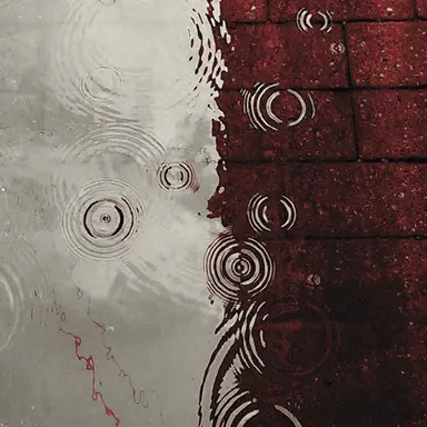 Profile image of 코마