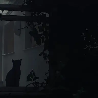 Profile image of 바딘