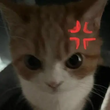 Profile image of 연시은