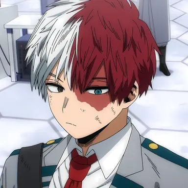 Profile image of Shoto Todoroki