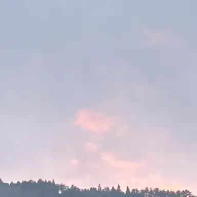 Profile image of 愛里