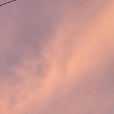 Profile image of 공룡