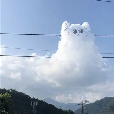 Profile image of 하로 클라우드.