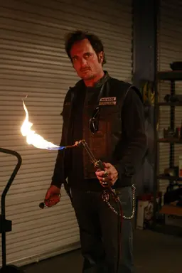 Profile image of Tig
