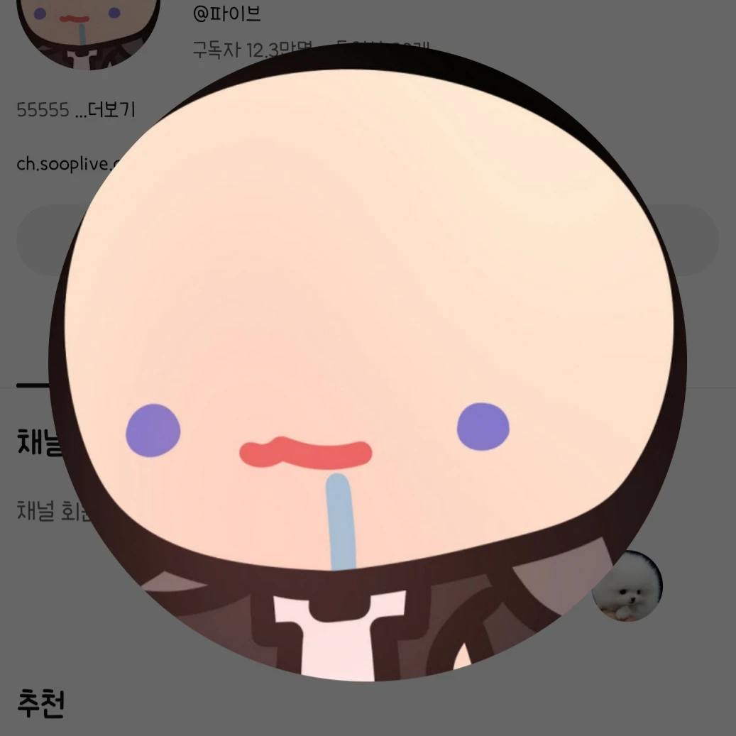 파이브