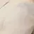 송은석