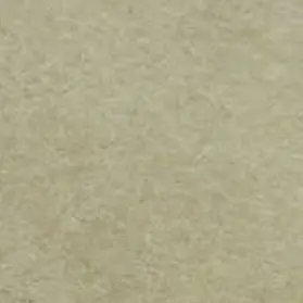 MutedRain3955의 善児