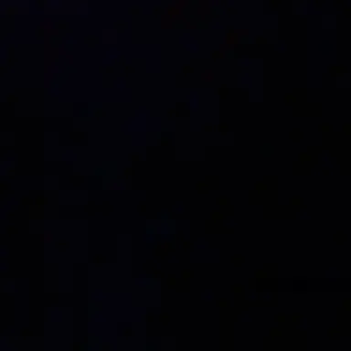 Profile image of 박소영