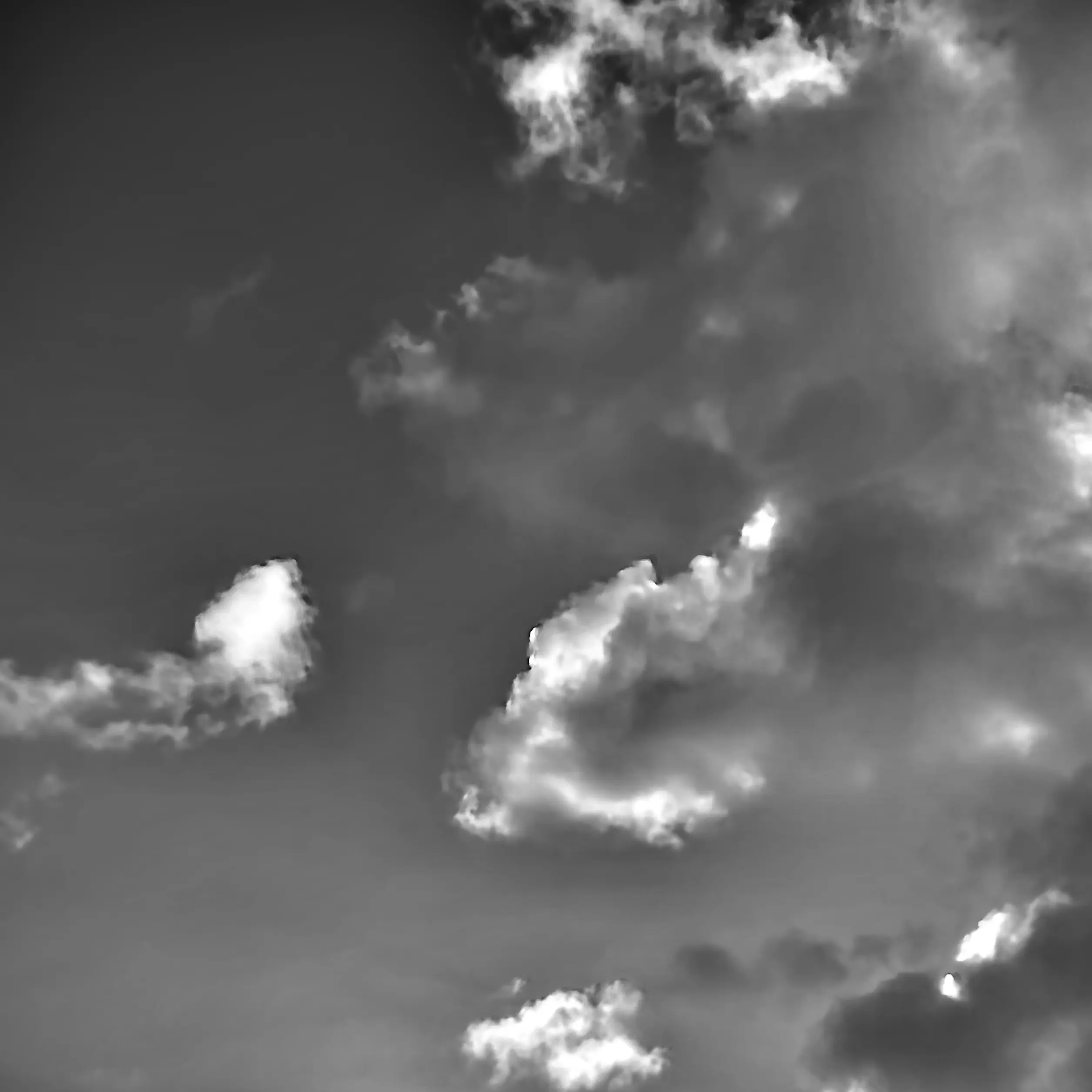 PurelyCloud4583의 박 택/박태우