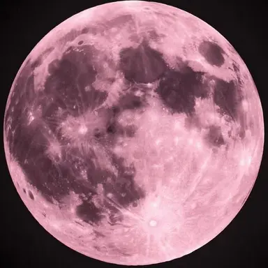 Profile image of 大我