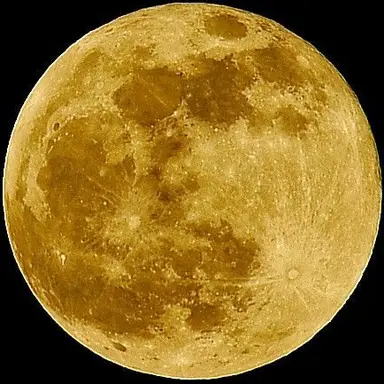 Profile image of 優吾