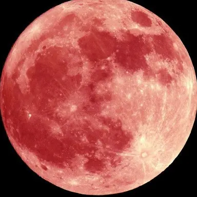 Profile image of ジェシー