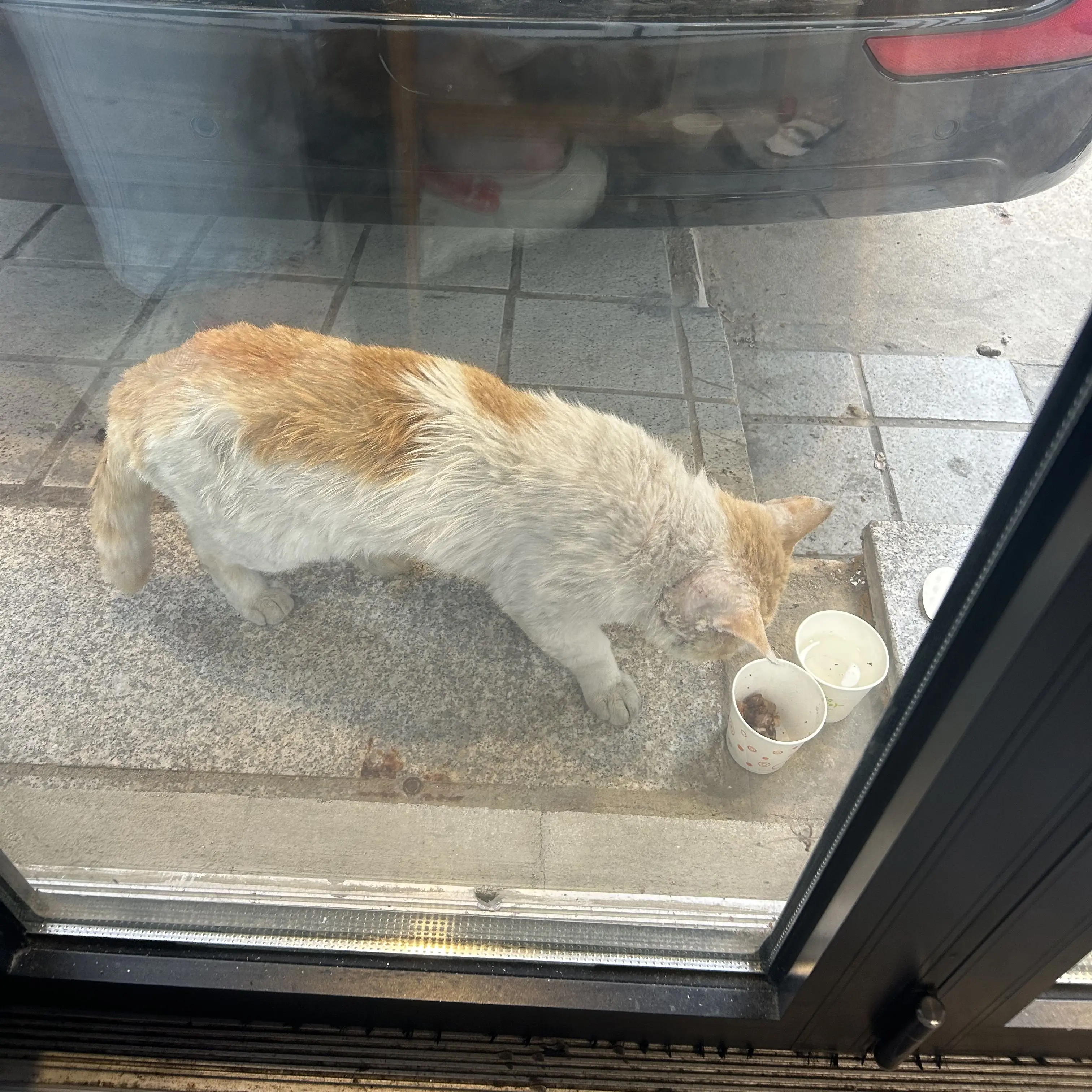 DrunkZebra1716의 교사가 수업시간 중 급똥