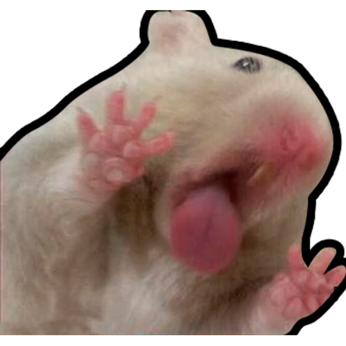 한지성