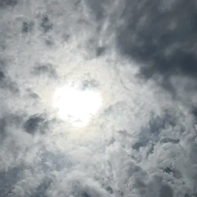 Profile image of 싸이코드