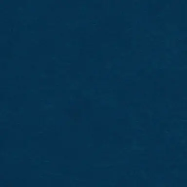 Profile image of 남색