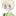 アーサーにゃんこ
