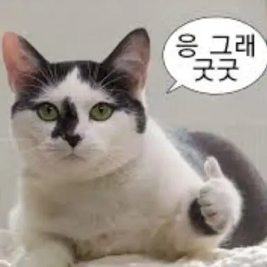 Profile image of 윤아