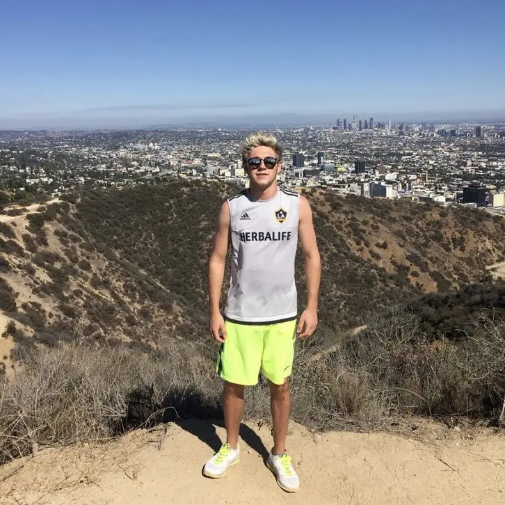 MutedFloss4565의 niall horan