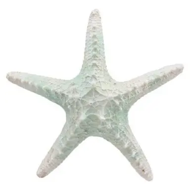 Profile image of 空条承太郎