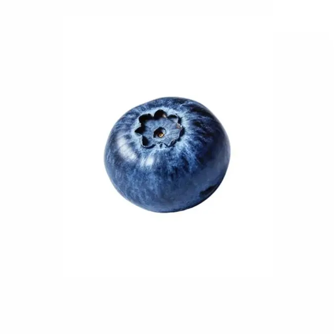 Ringosilyadetto의 妊娠しちゃった…