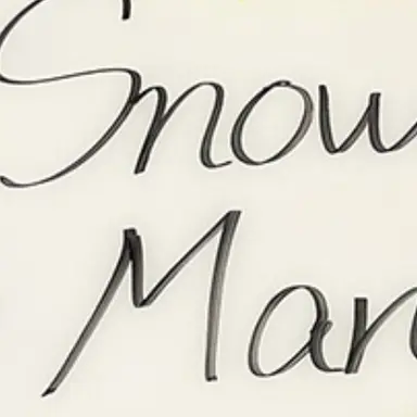 Profile image of スノーマン