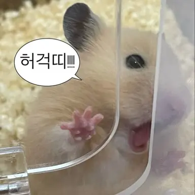 Profile image of 사람들