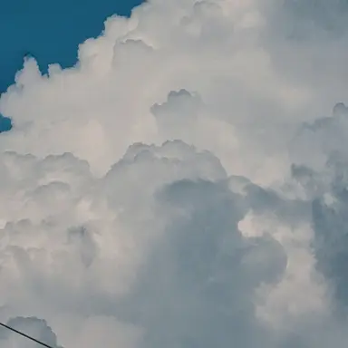 Profile image of 재희