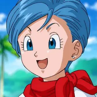 Profile image of ブルマ