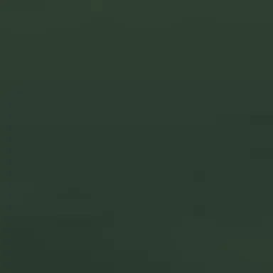 Profile image of 당잔