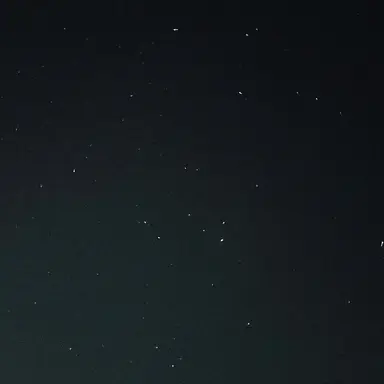 Profile image of 라경사