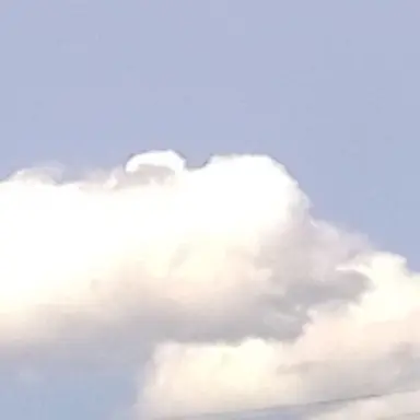 Profile image of ウォニョン