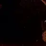 Profile image of 吾郎