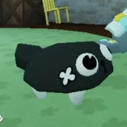 Profile image of 페블