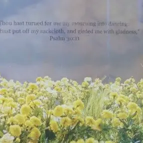 Profile image of ヨンベ