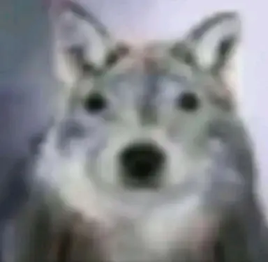 Profile image of 박늑대