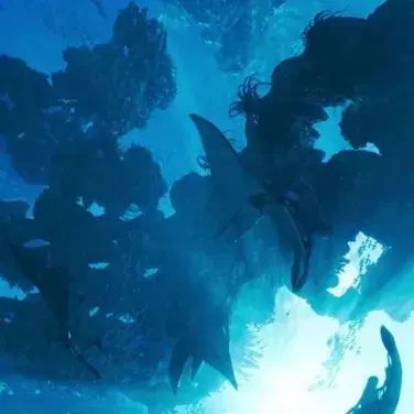 HumblePika4391의 Avatar - The Way of Water