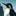 完全肯定ペンギン