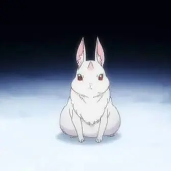 Profile image of Fluffy