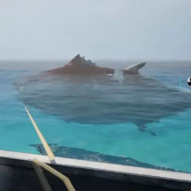 Profile image of 대왕참치