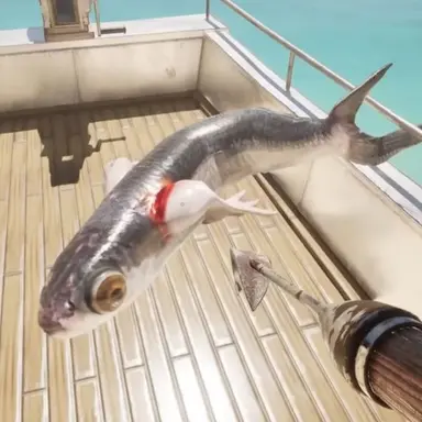 Profile image of 날치