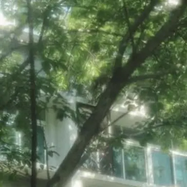 Profile image of じゃぱぱ