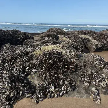 FolksyBay9826의 Abusive Family