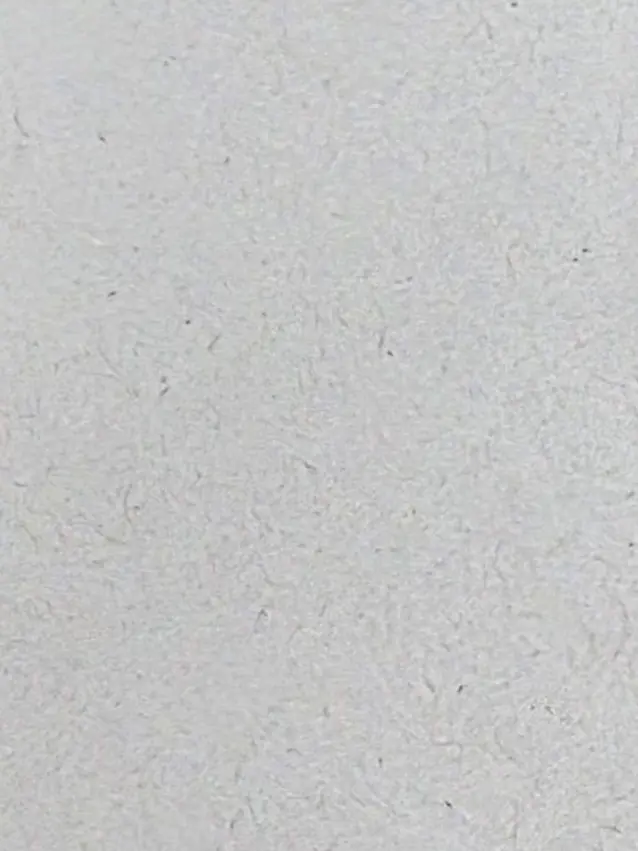 ahgpal의 호시나 소우시로