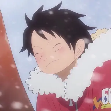 Profile image of ルフィ