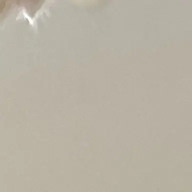 Profile image of 권숝영